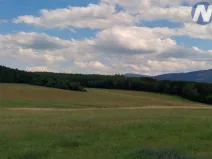 Prodej lesa, Chlumany, 17989 m2