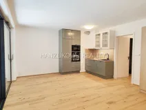 Pronájem bytu 1+kk, České Budějovice - České Budějovice 3, Fráni Šrámka, 41 m2