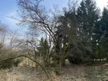 Prodej pozemku, Městečko Trnávka - Lázy, 384 m2