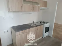 Pronájem bytu 2+1, Havířov, Družstevnická, 48 m2