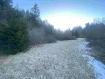 Dražba pozemku, Železná Ruda, 2377 m2