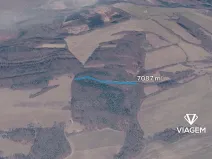 Prodej podílu lesa, Březůvky, 2952 m2