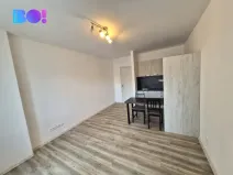 Pronájem bytu 1+kk, Ostrava, Nádražní, 29 m2