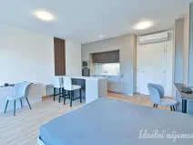 Pronájem bytu 1+kk, Brno, Hybešova, 46 m2