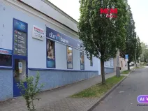 Prodej obchodního prostoru, Mělník, Krombholcova, 300 m2