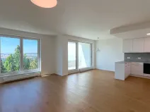 Pronájem bytu 3+kk, Brno, třída Generála Píky, 102 m2