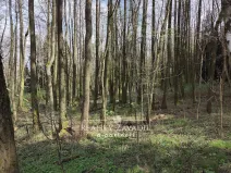 Prodej lesa, Sedlec-Prčice - Sušetice, 8504 m2
