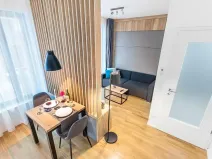Pronájem bytu 1+kk, Praha - Žižkov, Seifertova, 29 m2