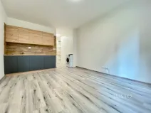 Pronájem bytu 1+kk, Frýdek-Místek - Místek, Vítězslava Nezvala, 21 m2