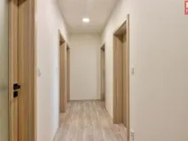 Pronájem kanceláře, Olomouc, Hamerská, 67 m2
