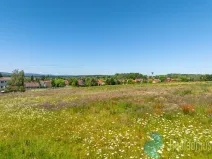 Prodej pozemku pro bydlení, Litvínovice - Šindlovy Dvory, 1006 m2