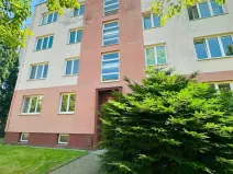 Pronájem bytu 2+1, Plzeň, Brojova, 55 m2
