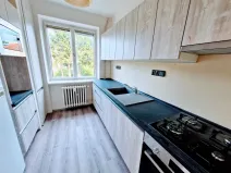 Prodej bytu 3+1, Ústí nad Labem - Klíše, Slavíčkova, 65 m2