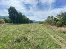 Dražba louky, Všenory, 601 m2