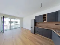 Pronájem bytu 2+kk, Brno, Příční, 51 m2