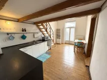 Pronájem bytu 2+kk, Plzeň - Jižní Předměstí, Klatovská třída, 48 m2
