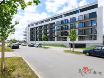 Pronájem bytu 1+kk, Plzeň - Jižní Předměstí, Železná, 31 m2