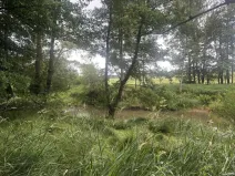 Prodej pole, Kaplice - Blansko, 27326 m2