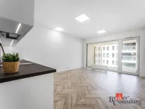 Pronájem bytu 1+kk, Brno - Zábrdovice, Cejl, 48 m2