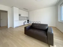 Pronájem bytu 1+kk, Praha, Na Viktorce, 39 m2