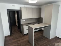 Pronájem bytu 1+kk, Olomouc - Nová Ulice, Třída Jiřího Pelikána, 33 m2
