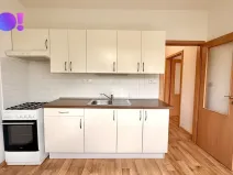 Pronájem bytu 1+1, Ostrava, Josefa Brabce, 36 m2