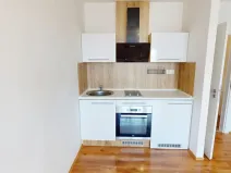 Pronájem bytu 1+kk, Ostrava - Výškovice, Lumírova, 28 m2