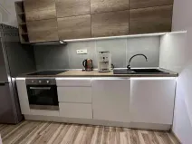 Pronájem bytu 2+1, Ostrava, Aloise Gavlase, 45 m2