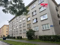 Pronájem obchodního prostoru, Ostrava - Moravská Ostrava, Zelená, 25 m2
