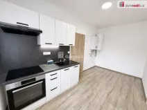 Pronájem bytu 2+1, Chabařovice, V Aleji, 40 m2