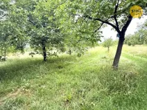Prodej pozemku, Strážnice, 1987 m2