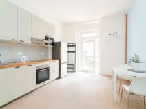 Pronájem bytu 1+kk, Planá, Karlín, 30 m2