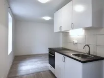 Pronájem bytu 1+kk, Zvěstov - Roudný, 27 m2