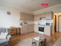 Prodej bytu 1+kk, Brandýs nad Labem-Stará Boleslav - Brandýs nad Labem, Kaštanová, 30 m2