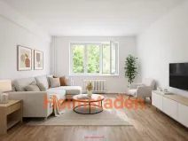 Pronájem bytu 2+1, Havířov - Město, Alšova, 50 m2