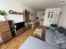 Prodej bytu 2+kk, Most, Františka Malíka, 39 m2