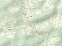 Dražba lesa, Valašská Polanka, 1112 m2