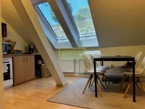 Pronájem bytu 1+1, Brno, Kopečná, 55 m2