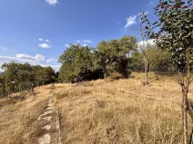 Prodej zahrady, Samotišky, 639 m2