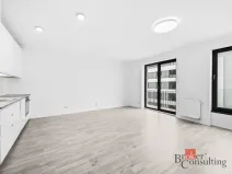 Pronájem bytu 1+kk, Plzeň - Jižní Předměstí, Železná, 37 m2