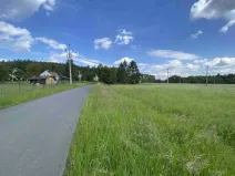 Dražba pole, Planá, 1400 m2