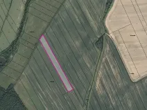 Prodej pole, Podluhy, 11602 m2