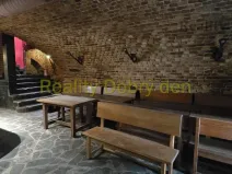 Pronájem restaurace, Opava, Dolní náměstí, 99 m2