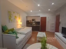 Pronájem bytu 1+kk, Praha - Nusle, Na Jezerce, 22 m2