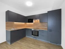 Pronájem bytu 1+kk, Zruč-Senec, Sportovní, 44 m2