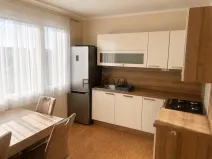 Pronájem bytu 1+1, Stříbro, Větrná, 40 m2