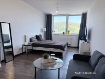 Pronájem bytu 1+kk, Ústí nad Labem - Ústí nad Labem-centrum, Velká Hradební, 30 m2