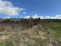 Prodej sadu/vinice, Mutěnice, 1540 m2