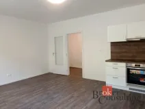 Pronájem bytu 1+kk, Ostrava - Přívoz, Palackého, 33 m2