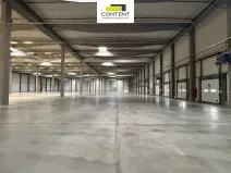Pronájem výrobních prostor, Bor - Nová Hospoda, 32693 m2
